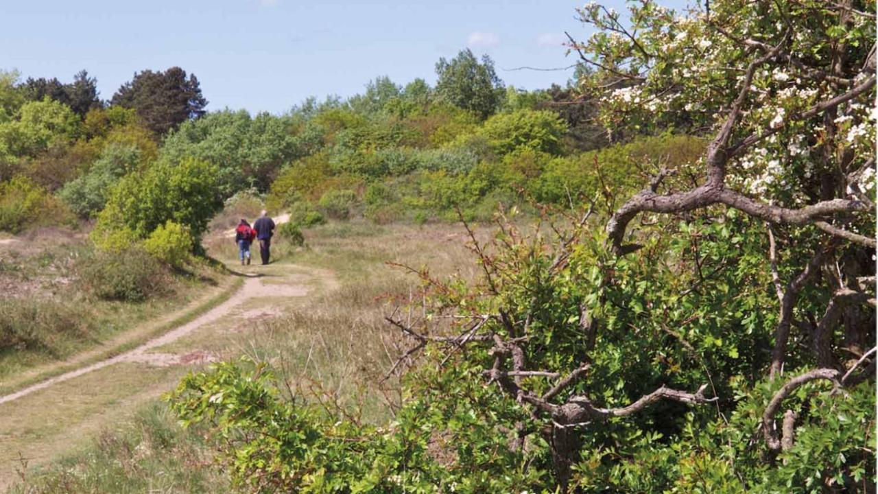 Kust-, Fiets-, Wandel-, Rust- & Cultuurlocatie Villa Castricum Ngoại thất bức ảnh